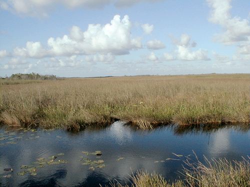 Everglades
