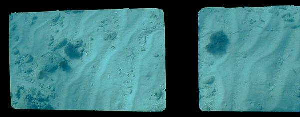 carbonate sand bottom