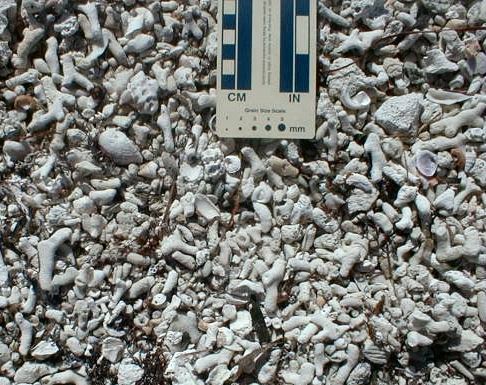 carbonate gravel
