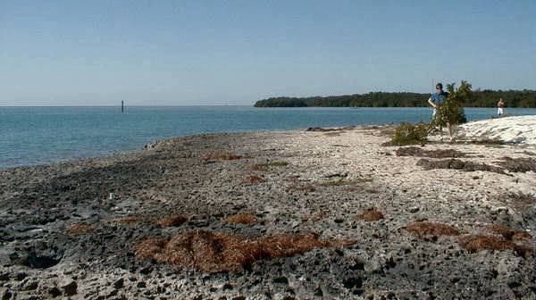 rock surface