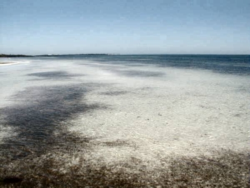 Grassy Key view