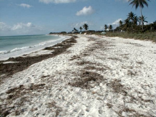 Bahia Honda beach