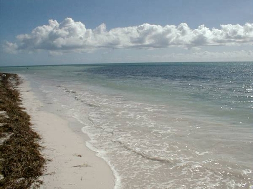 Bahia Honda beach