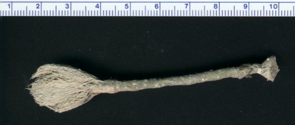 flk12-01.jpg