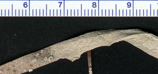 flk12-04.jpg