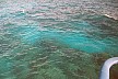 spur and groove seen through shallow water