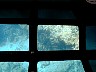 close-up of spur and groove through glass bottom