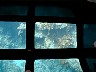 reef builders