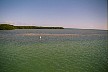 sea grass beds and carbonate sand patches