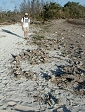 debris