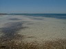 flk09-05.jpg